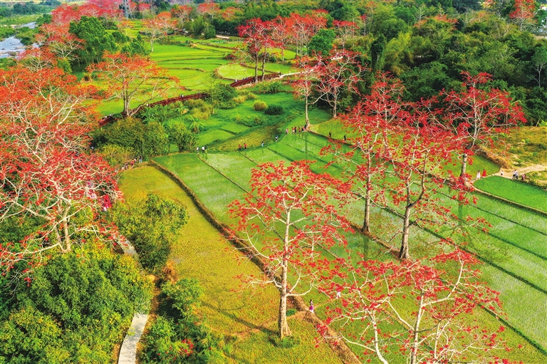 阳春三月 赴一场繁花之约
