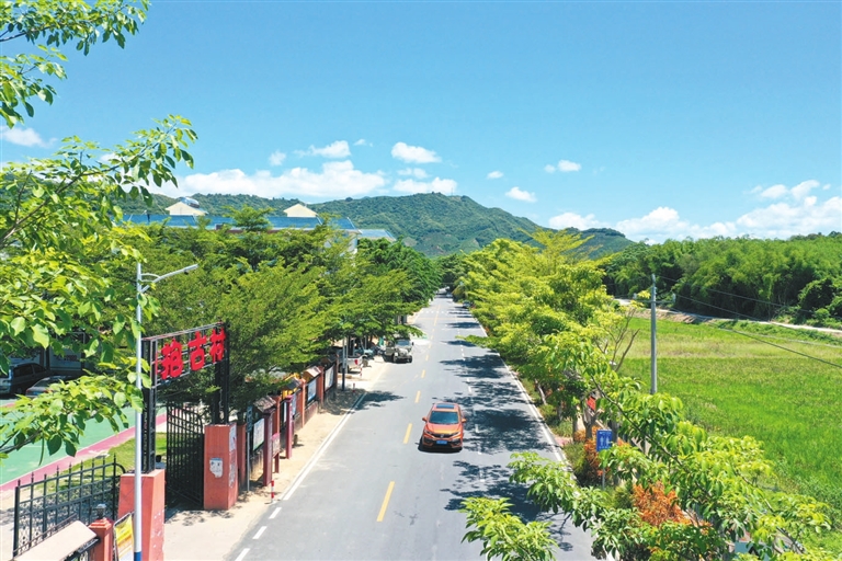 抱古“莲花村”的“美丽致富路”