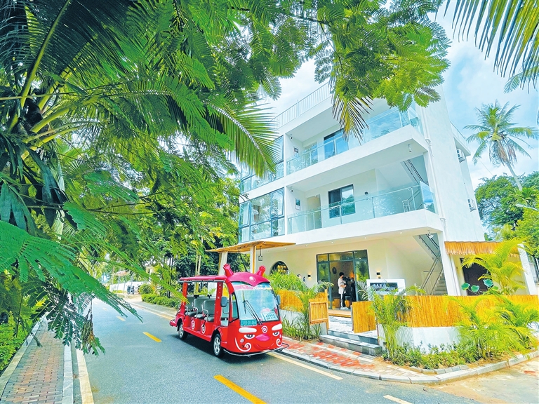 中廖：一条路带“活”一个村